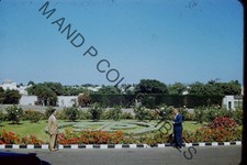 ORIGINAL 35mm Photo Slide Candid Vintage 007104 picture