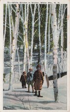 White Birches in Winter White Mountains New Hampshire NH Vtg Postcard I30 picture