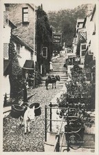 Clovelly High Street Donkeys RPPC G. S. Reilly New Inn Devon England Postcard picture