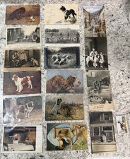 Antique Early 1900s Lot (16) Dog Postcards Stamps Art Prints Etc 7 No Writing picture