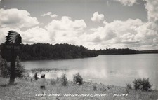Watersmeet Michigan Sun Lake Gogebic County Upper Peninsula Photo Postcard J21 picture