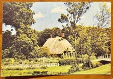 Vintage Postcard English Thatched Cottage New Forest, Hampshire picture