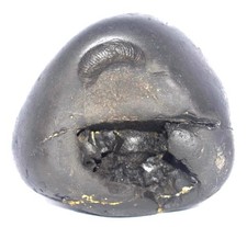 Rare Golden Trivikrama Shaligram  - Gandaki River Nepal picture