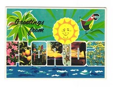 Greetings From Florida Postcard Unposted 4x6 picture