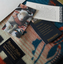 NEW Pendleton Tide School Whale Ocean Muchacho Virgin Wool Baby Crib Blanket NWT picture