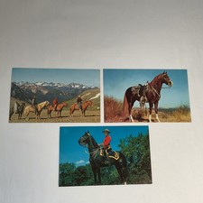 Lot of 3 Vintage Plastichrome Postcard Horse 1960s Unposted Unmarked Color Hoss picture