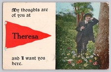 1913 Theresa NY Pennant Postcard Man Tree Flowers 