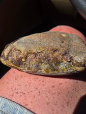 187.437g Fresh Unclassified NWA Meteorite | Oriented | Fresh Fusion Crust picture