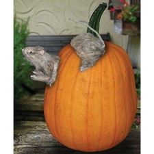 Realistic Furry RAT Pumpkin Push Ins EASY WAY TO DECORATE PUMPKINS New picture