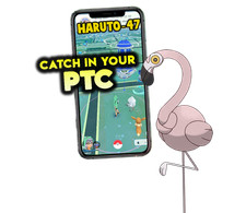 Pokemon Shiny Flamigo Catch in your P T C picture