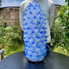 33LB  New Find blue Phantom Crystal Quartz Cluster Mineral Specimen Healing picture