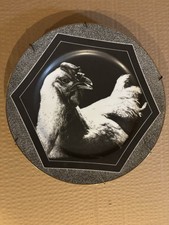 IMC Limited Edition Porcelain Collector Plate Chicken Pattern Dec 1979 picture