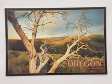 Postcard Steens Mountain Big Indian Gorge Southeastern Oregon, OR Unposted picture