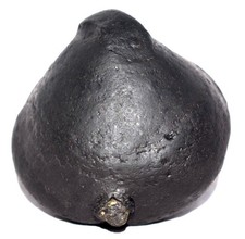 Sacred Adwaitya Golden Laxmi Maha Vishnu Garuda Shaligram - Gandaki River Nepal picture