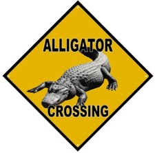 ALLIGATOR CROSSING 12