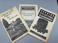 Vintage US Dept Agriculture Bulletins Growing Fruit Trees 3 - 1924, 1948, 1939 picture