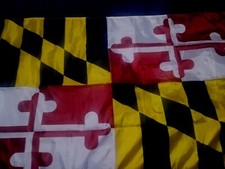 Maryland State Flag picture