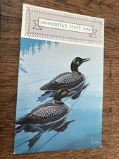 The Loon Minnesota's State Bird Postcard picture