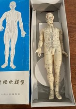 Vintage Chinese Acupuncture Meridian Figure 46cm Medical Model w/ Box picture