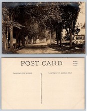 Vintage Real Photo Postcard North Street Chester PA Tree Lined Road RPPC picture