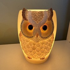Owl Lamp By Ibis And Orchid Design New In Box picture