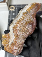 Rare Wingate Plume Agate Polished Specimen Quartz Death Valley Old Stock picture