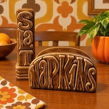 Vintage 1976 Napkins Retro Ceramic Holder And Salt Shaker HTF Brown Kitschy picture