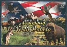 LEGENDARY NORTH DAKOTA WILD ANIMALS MODERN POSTCARD picture
