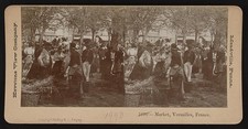 Photo:Versailles France 1890 Market Scene Street Market Crowd Stereo View picture