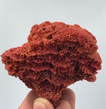 53 gram Natural Cluster of Reddish Coral, from Baluchistan - Pakistan. picture