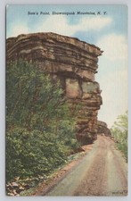 Atq/Vtg Post Card Sam's Point Shawangunk Mountains N.Y. N259 picture