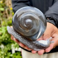 320G  Natural Agate Hand Carved Snail Crystal Healing Stone Decor With Stand picture