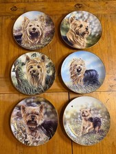 Danbury Mint Yorkshire Terrier Yorkie Collector Plates Paul Doyle Set of 6 b4799 picture