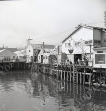 a22 Original Negative 1950's Monterey CA Harbor Central Calif Fish Company 425a picture