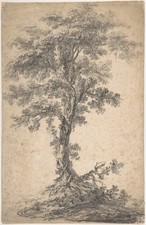 Jean Pillement Study of a Tree Vintage Art Sketch Glossy Photo Reprint picture