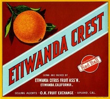 Etiwanda Upland San Bernardino Crest Orange Citrus Fruit Crate Label Art Print picture