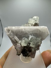 Watermelon Dravite with Albite Crystal (37gr) Watermelon Dravite with Albite picture