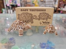 Vintage WADE Porcelain Baby Tortoise England in original Box picture