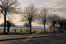 Photo 12x8 Trees on Embankment Road - Plymouth Laira The Laira bridges can c2010 picture