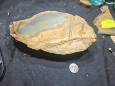 Oregon Picture Jasper Specimen (3lbs 4oz) Measures 8 in x 4 in x 3 in  picture