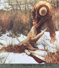 c1900s TW Ingersoll Stereoview #487 A Yearling in Hard Luck Deer Hunting picture