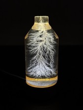 Lichtenberg Figure 2x3 Bottled Lightning (restocking, expected in 1 month) picture