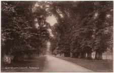 Original Antique Postcard Corsham Court Avenue Wiltshire England Frith's Series picture