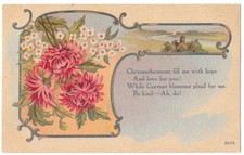 Chrysanthemum Currant Blossom Greeting Postcard 1909 Mercer PA Divided Back picture