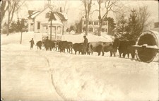 Limerick Maine ME Oxen Team Snow Roller c1917 Real Photo Postcard bhn picture