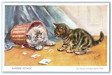 c1910's Surprise Attack Cute Cat Kitten In Basket Blue Persian Animals Postcard picture