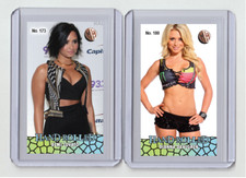 Demi Lovato rare MH Hand Rolled #'d x/3 Tobacco card no. 173 picture
