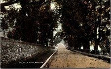 Chester Road Wrexham Wales Vintage Valentine's Colourtone Postcard Trees picture