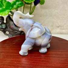 447G Natural agate geode quartz crystal engrave Elephant skull healing gift de picture