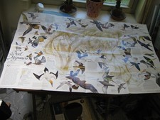 BIRD MIGRATION MAP EASTERN+ WESTERN HEMISPHERE National Geographic April 2004 picture